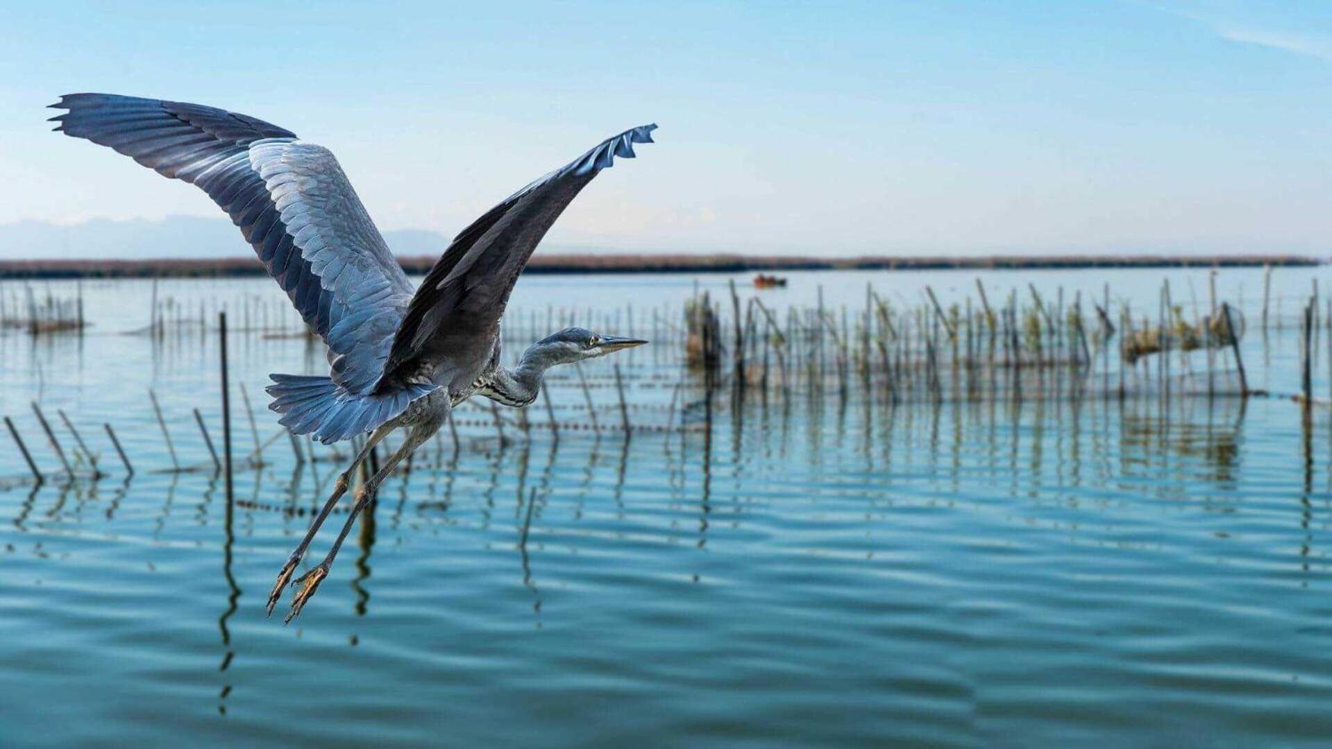 Albufera Dreams Nature Suites Valencia Exterior foto