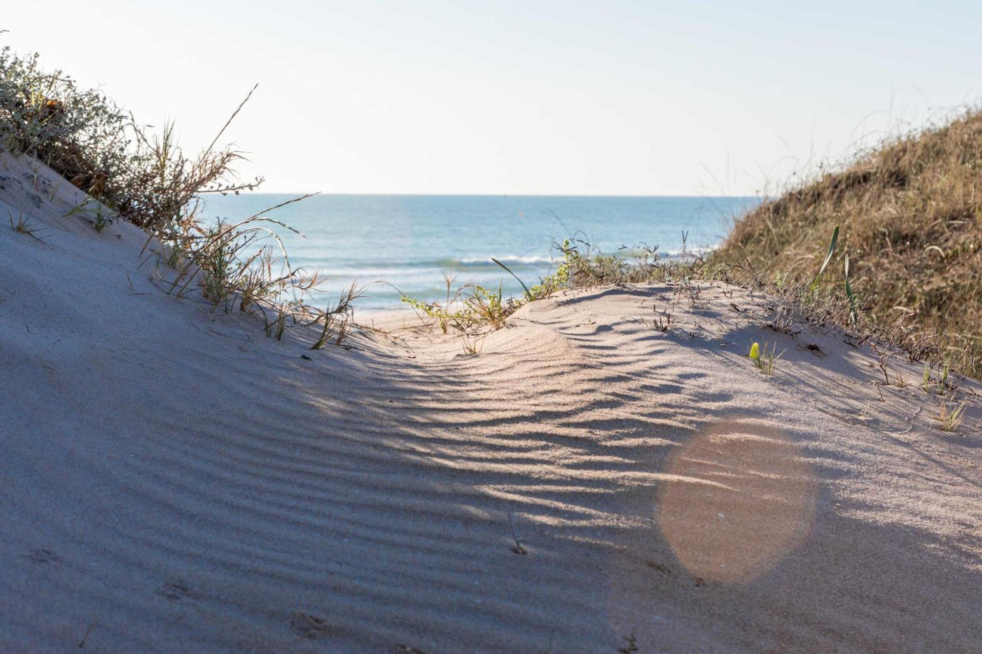 Albufera Dreams Nature Suites Valencia Exterior foto